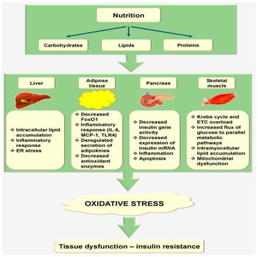 oxidative_stress