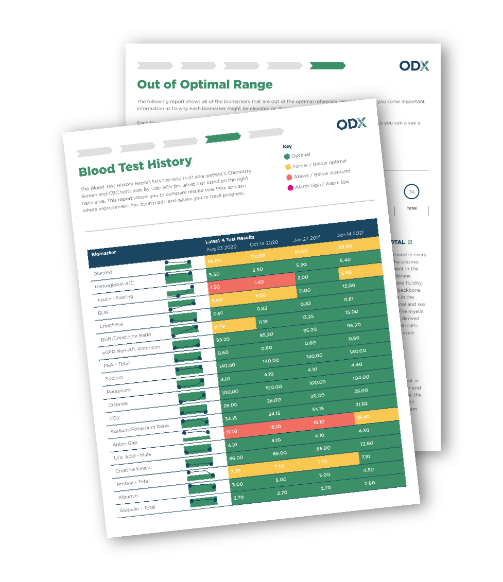 Report Designs Mockups-04