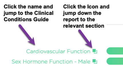 core_report_assessment_hyperlinking