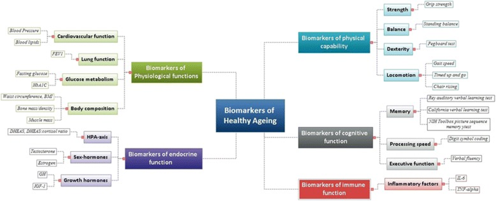 Biomarkers of Aging