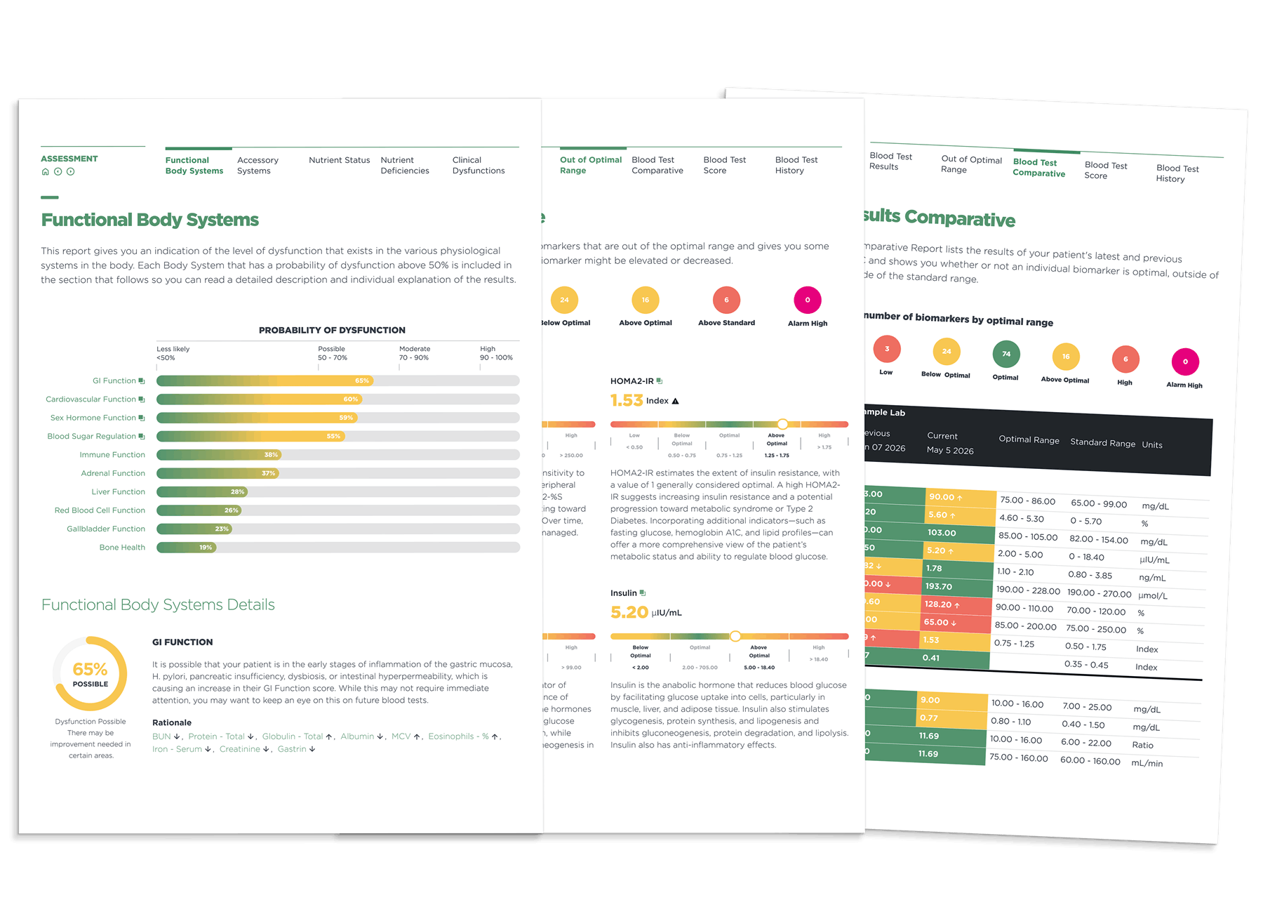 Reports-print-for-chiropractors