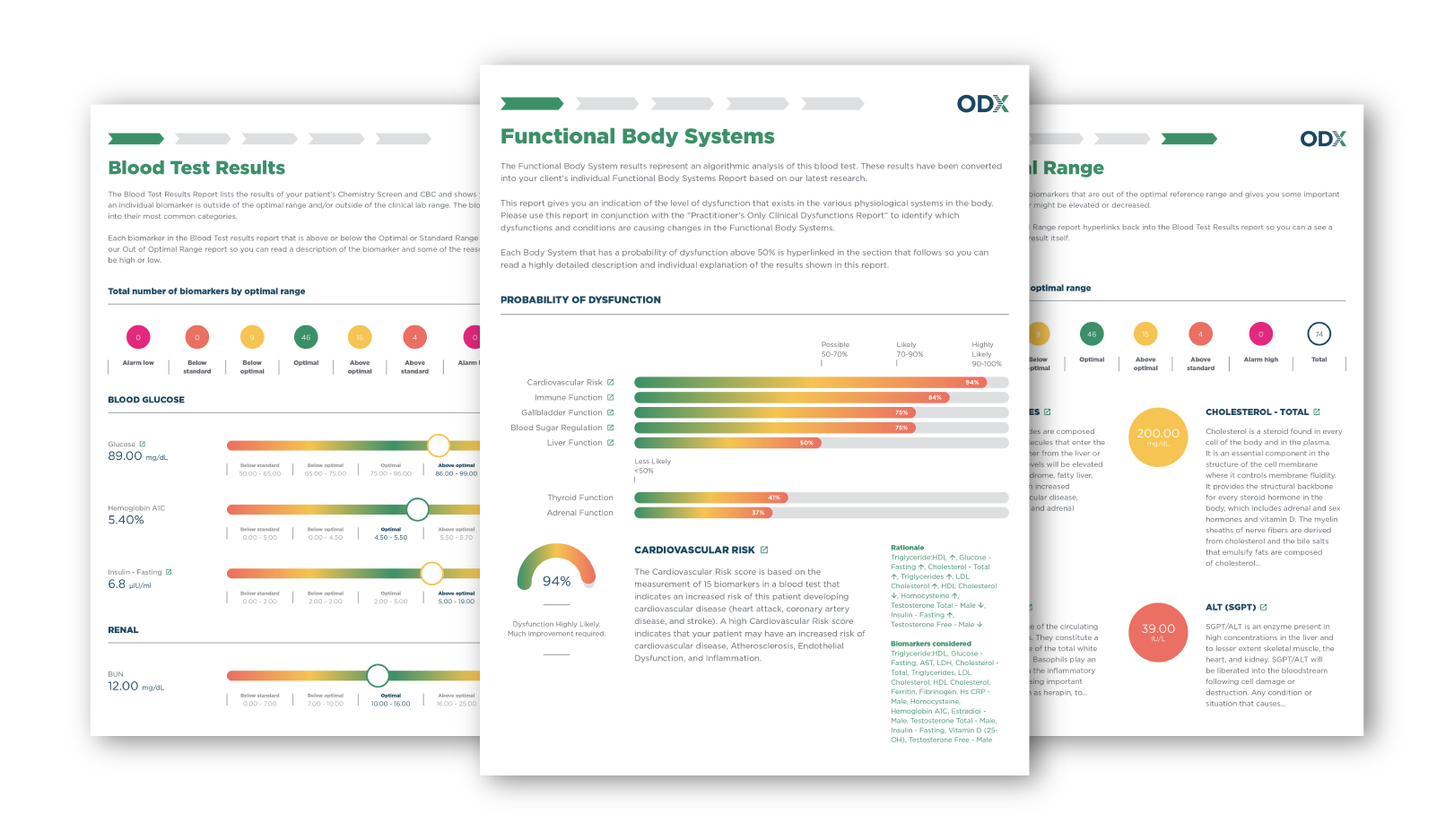 Report Designs Mockups-02