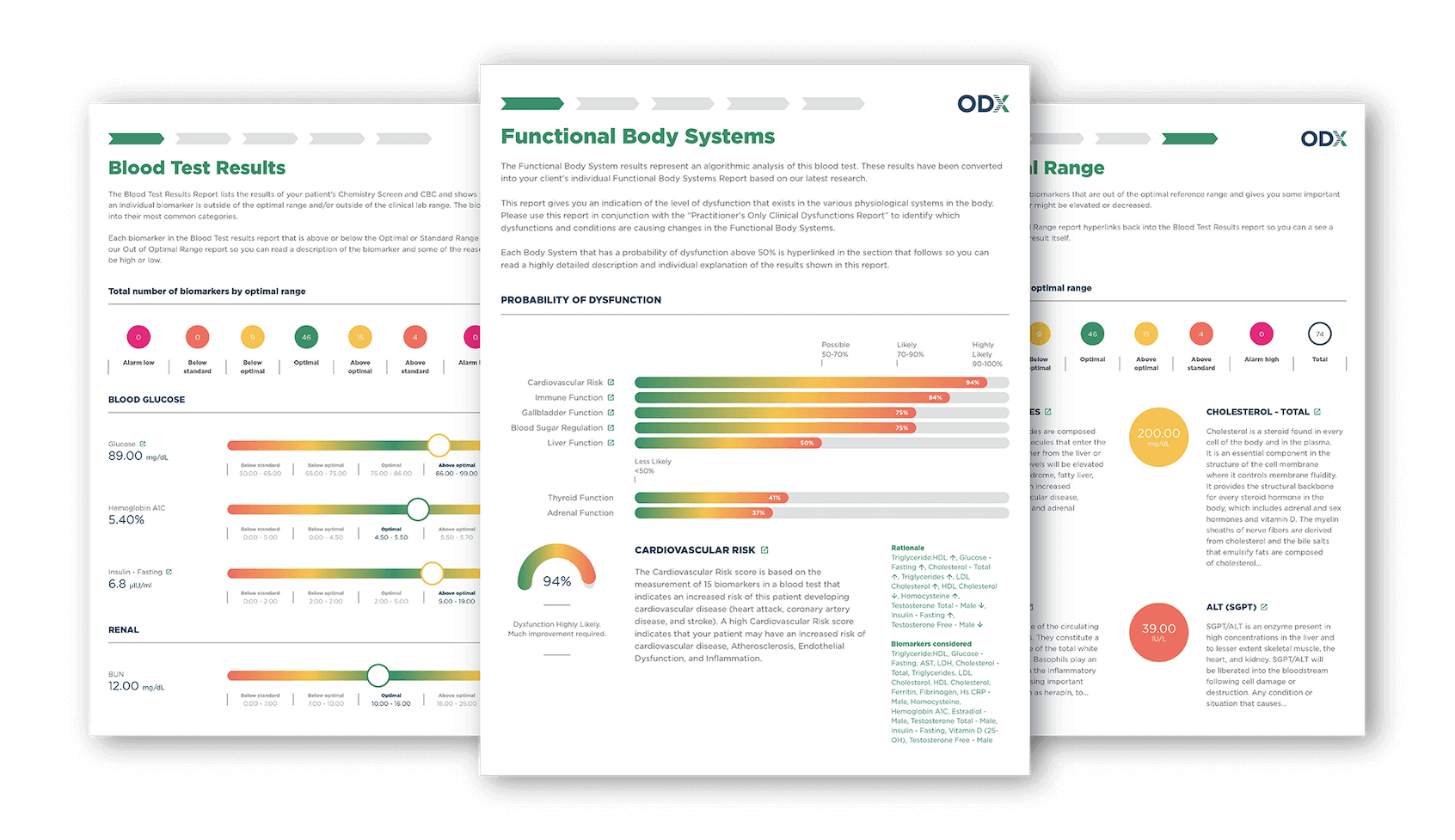 Report Designs Mockups-02 -scaled (1)