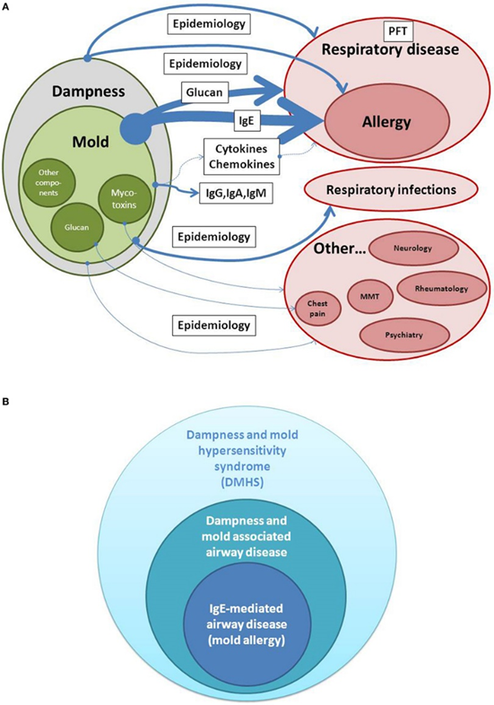 Mold, More Common on Foods than You Think and It's Making You Sick -  Allergy & Asthma Care LTD.