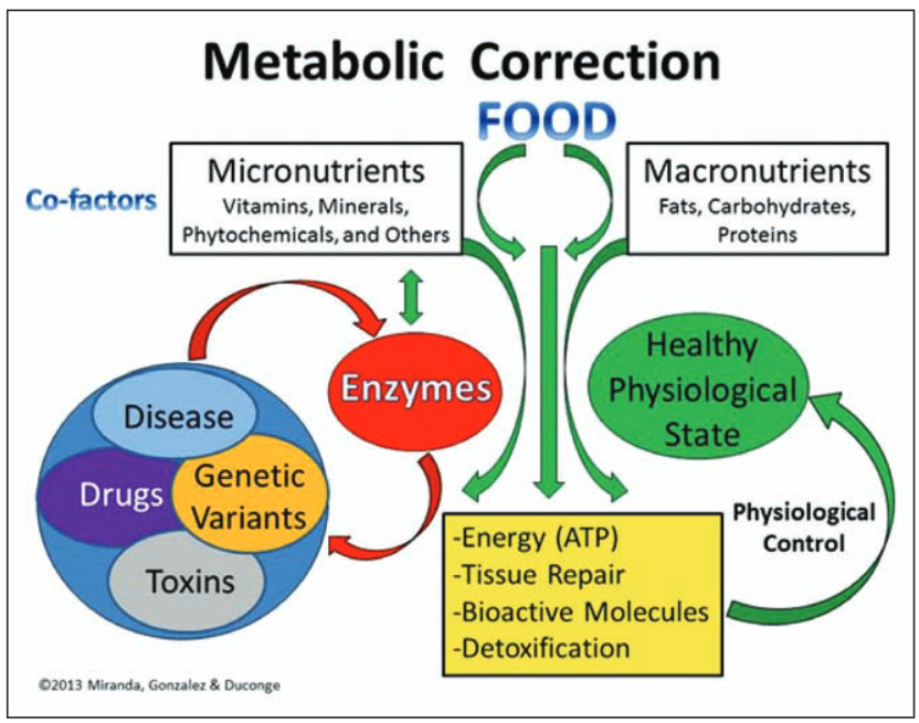Metabolic Correction Image