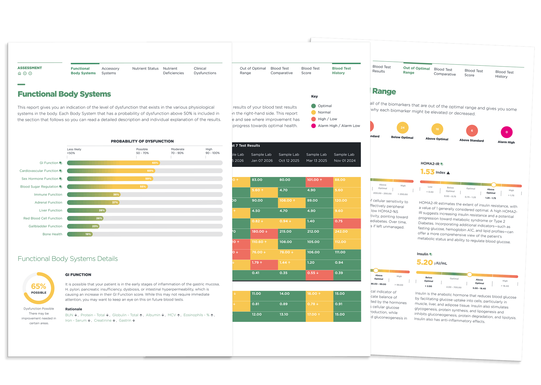 Reports-print-for-acupuncturists