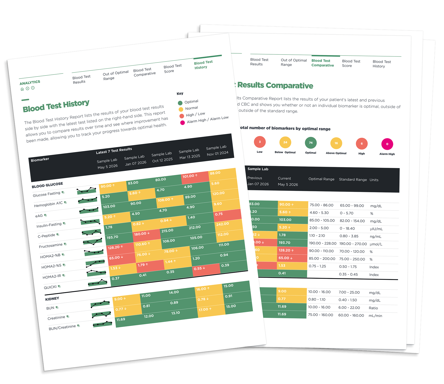 Reports-print-samples-for-functional-medicine-practitioners